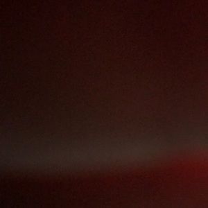 Meet your Posher, Reyna